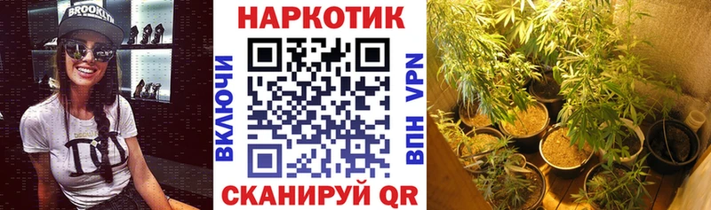 Марихуана Камышлов
