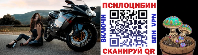 Галлюциногенные грибы Magic Shrooms  Купить закладки  Камышлов 