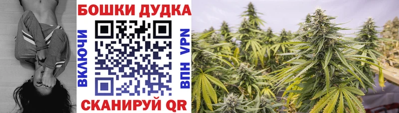 Купить закладки  Камышлов  Бошки Шишки MAZAR 